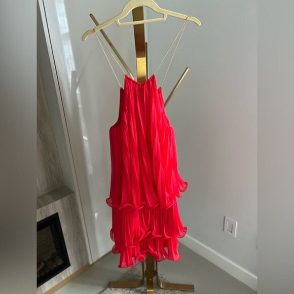 Coral Pleated Dress - Picture 11 of 11